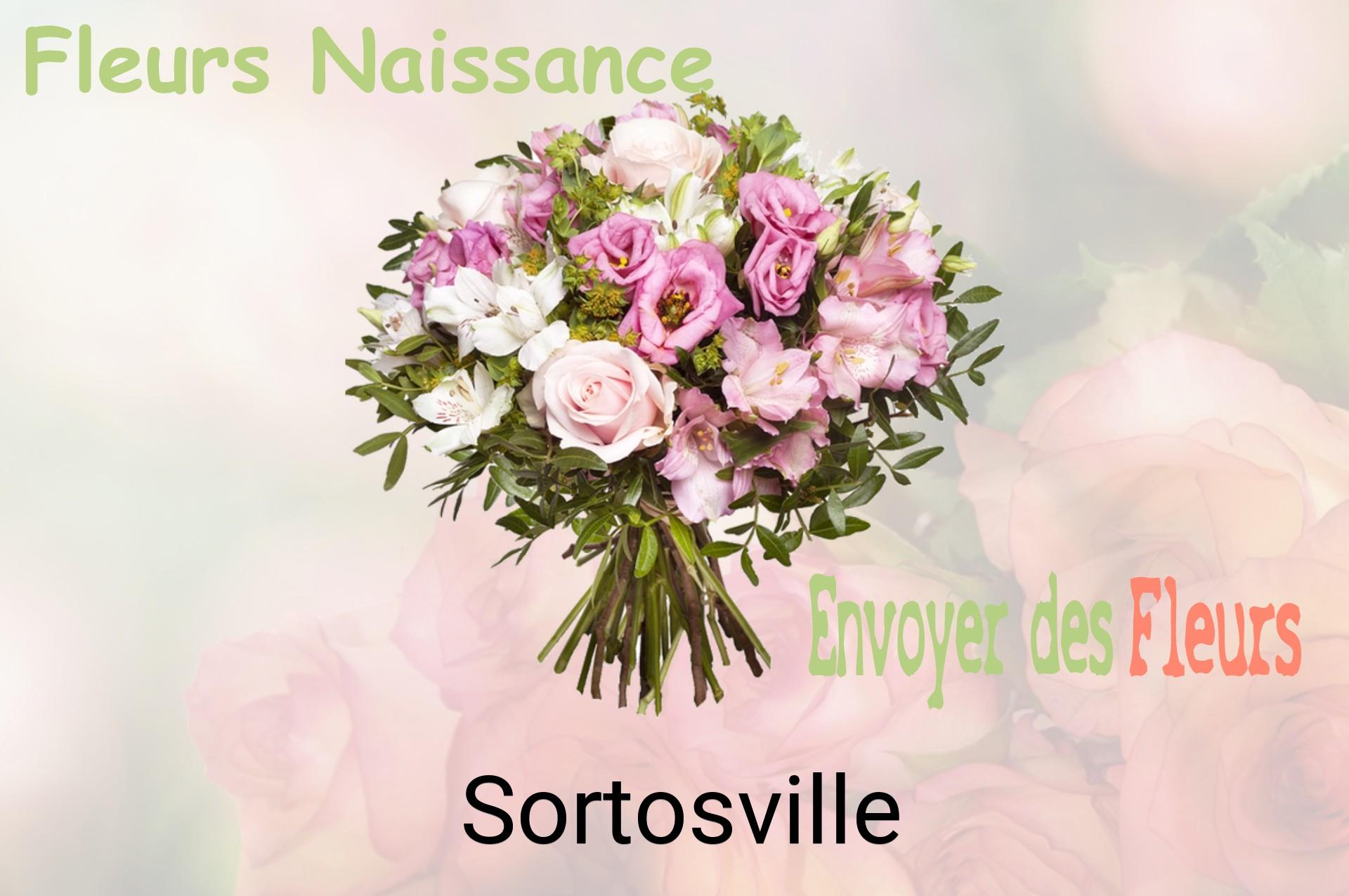 Bouquet de fleurs de naissance livré à Sortosville